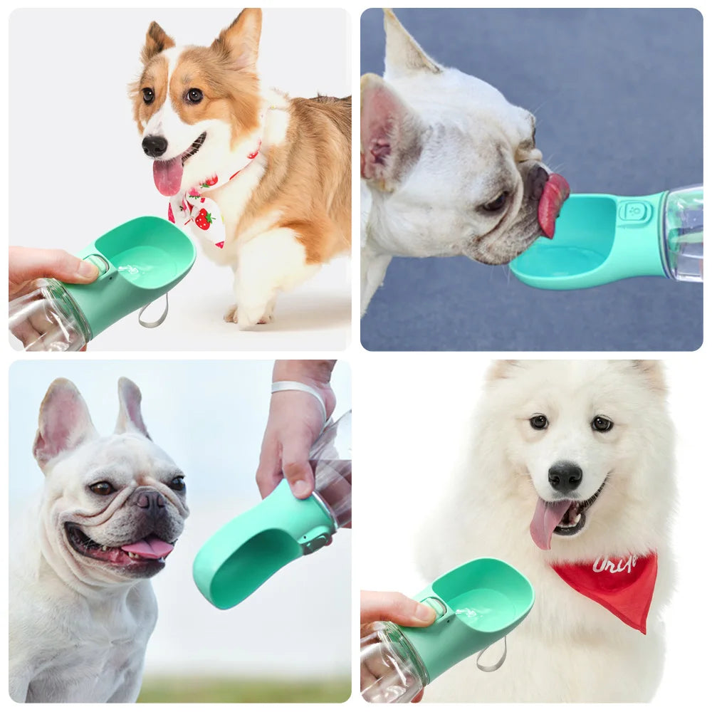 Tragbare Hunde Wasserflasche Outdoor