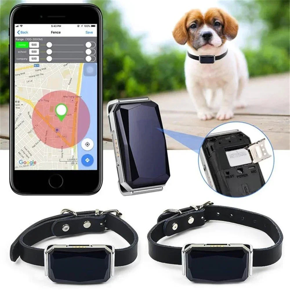 GPS Haustier Tracker Echtzeit
