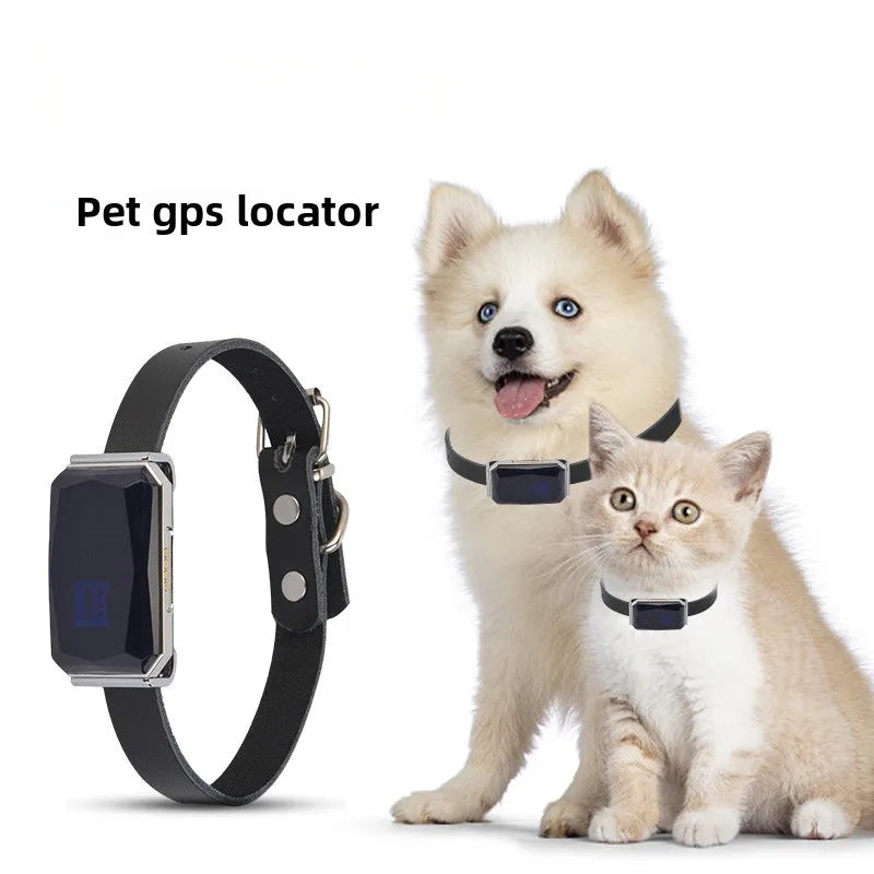 GPS Haustier Tracker Echtzeit