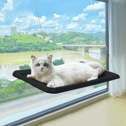 Katzen Fenster Hängematte Bett