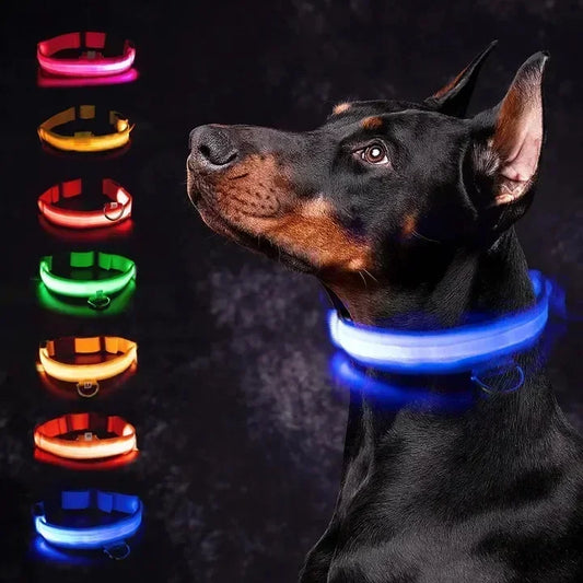 LED Leuchthalsband für Hunde