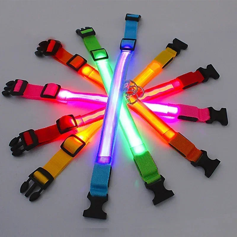 LED Leuchthalsband für Hunde