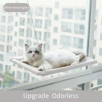 Katzen Fenster Hängematte Bett
