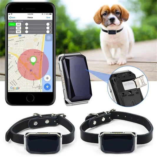 GPS Haustier Tracker Echtzeit