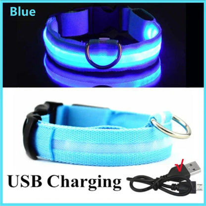LED Leuchthalsband für Hunde