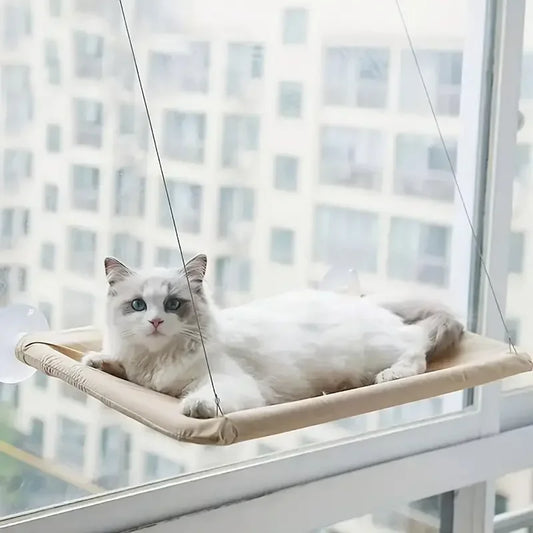 Katzen Fenster Hängematte Bett