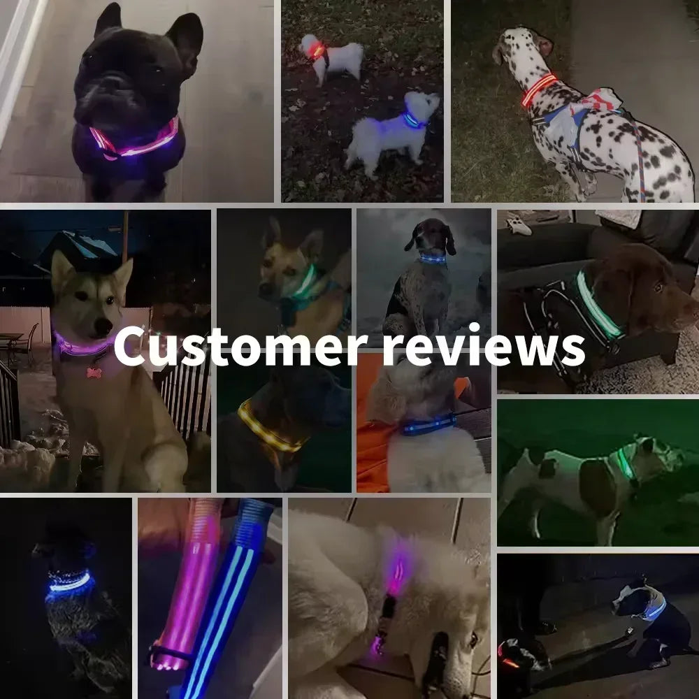 LED Leuchthalsband für Hunde