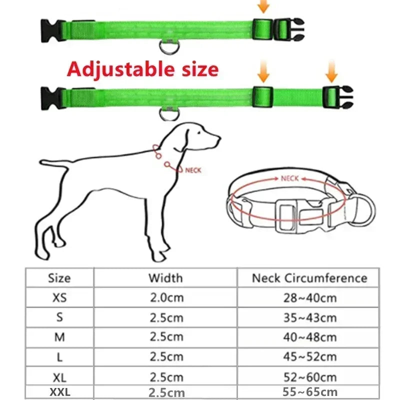 LED Leuchthalsband für Hunde