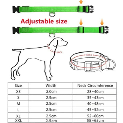 LED Leuchthalsband für Hunde
