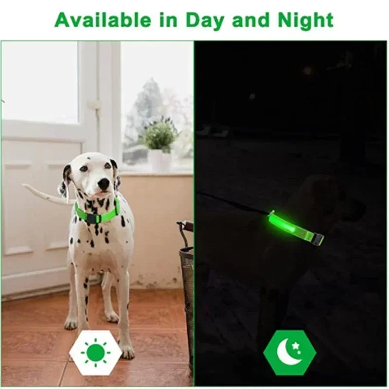 LED Leuchthalsband für Hunde