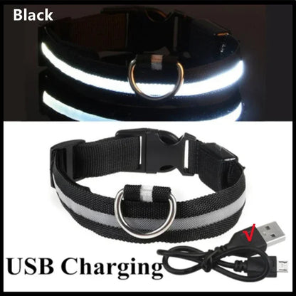 LED Leuchthalsband für Hunde