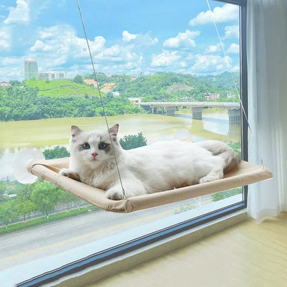 Katzen Fenster Hängematte Bett